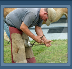 Mule Farrier