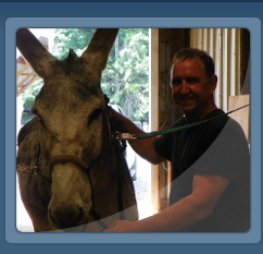 Farrier with Mule